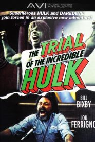 Le Procès de l’incroyable Hulk