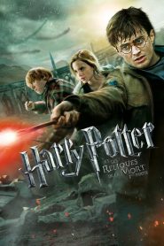 Harry Potter et les reliques de la mort – 2ème partie